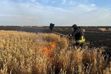 Обстрелы Харьковщины: один погибший и трое раненых, повреждены дома и уничтожены посевы — о ситуации на 14 июля