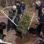 В Харькове стартовала масштабная акция по высадке деревьев