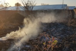 В пригороде Харькова борцы с сухостоем едва не выжгли розарий (ФОТО)