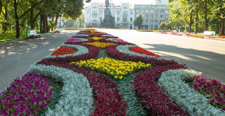 В Харькове высадят цветы