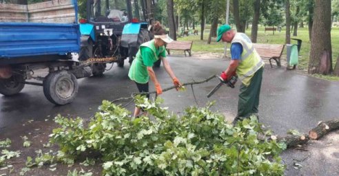 В Харькове из-за непогоды повалило более ста деревьев